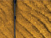 Side scan sonar image