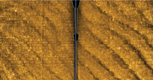 side scan sonar image
