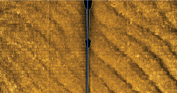 sidescan sonar image