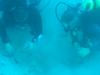 SCUBA diving , allows scientists to closely observe very small portions of the seabed.