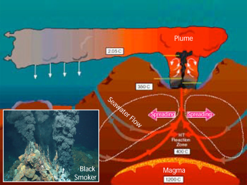 Figure 3. This cross-section illustration shows a spreading ridge axis and several components of a hydrothermal vent system. Note a “black smoker” chimney (shown in the inset) at a hydrothermal site.