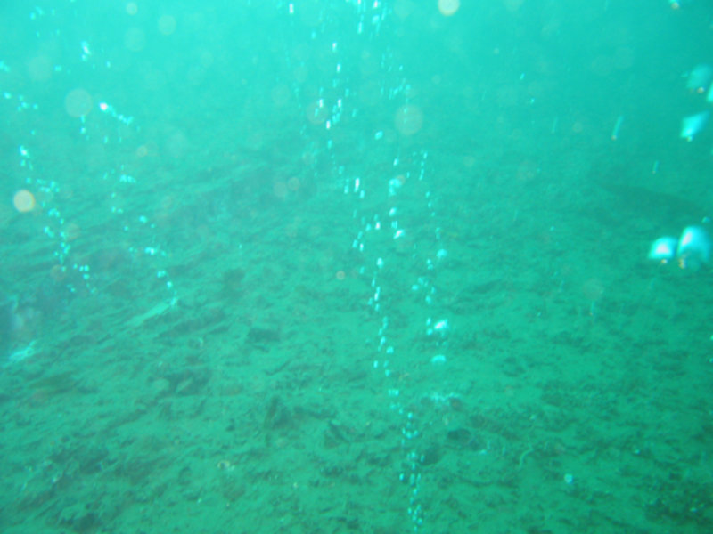 Figure 4. Methane gas bubbling up from sediments at a seep area.