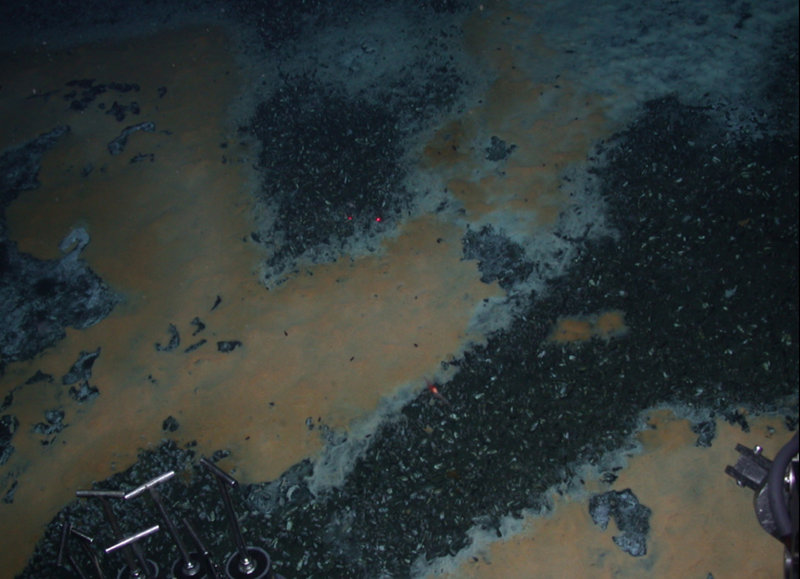 Figure 2b. A seafloor blanket of chemosynthetic communities on a methane hydrate-associated mound on the seafloor in the Santa Monica Basin. The white and orange microbial mats contain aerobic methanotrophs, along with other chemosynthetic bacteria. The space between the mats is crowded with clams.