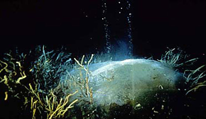 This is a methane hydrate mound on the seafloor. The bubbles show that methane is continuously leaking from features like this. If bottom waters warmed, this entire feature may be destabilized and leak methane at a higher rate.