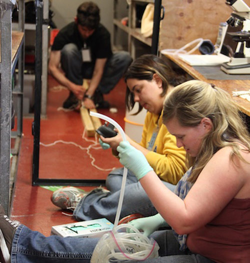 Sharing space in the lab. Graduate students Ashlee Henig (front) and Rosa Leon-Zayas (center) unpack, while Danny Richter builds the frame for the bubble.