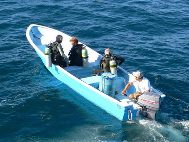 Sea of Cortez Expedition 2010: Image and Video Gallery: NOAA Office of ...