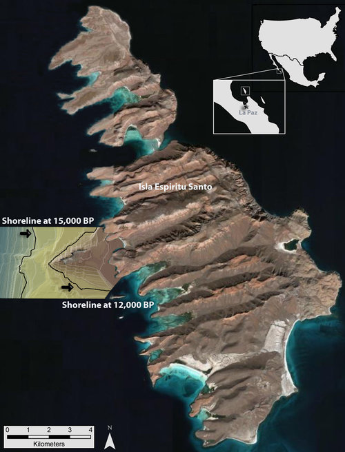 Aerial view of Isla Espíritu Santo merged with a digital elevation model of a section of the submerged landscape that shows locations of shorelines at 15,000 and 12,000 years ago.
