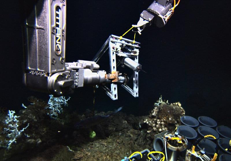 The MacDonald group's camera deployed on a coral mound.