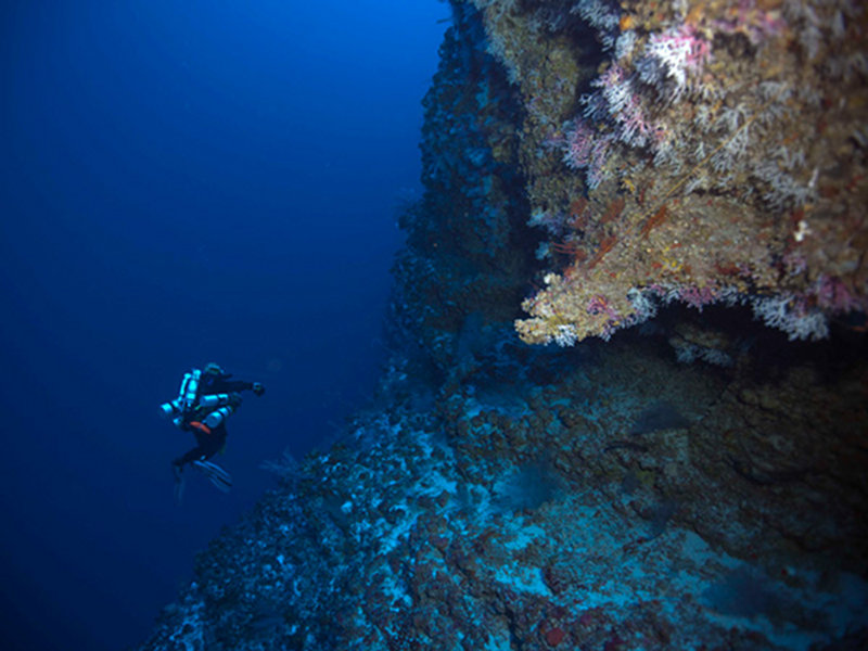 Brian Kakuk collects samples around Challenger seamount.