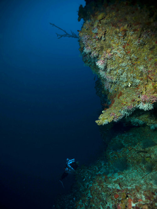 Brian Kakuk collects samples around Challenger seamount while looking for marine caves.