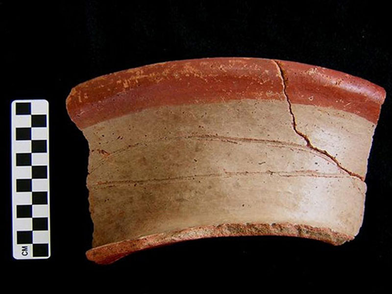 A large Caroline Bichrome sherd (rim, neck, and shoulder of large vase). The Carolina ceramic group was one of the most popular in the Yalahau region, the mainland area to the south of Vista Alegre, during the Terminal Preclassic period (75 BC to AD 400).