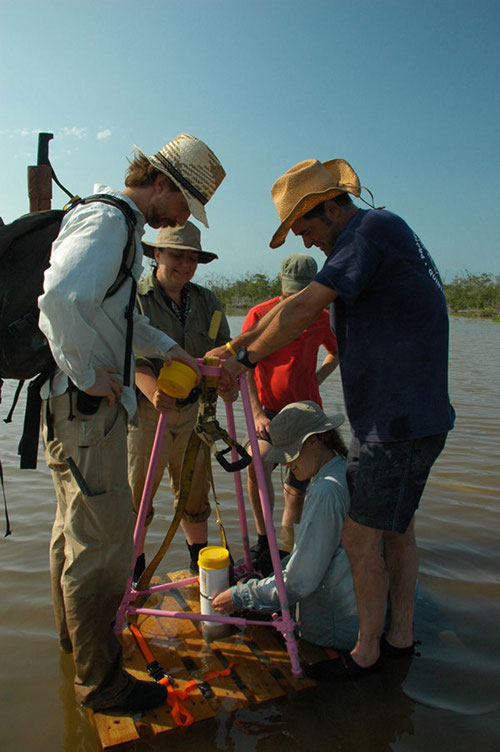 The team works together using a mobile coring platform and tripod to collect a core from the West Tidal Flat area of Vista Alegre. The West Tidal Flats had very shallow water that also had extremely high salinity.