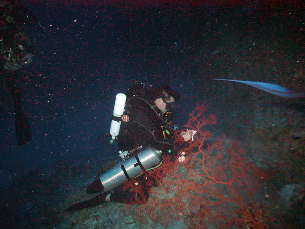 Working beside a brilliant red sea fan, Principal Investigator Marc Slattery conducts a biodiversity survey at 91 meter (300 foot) depth.