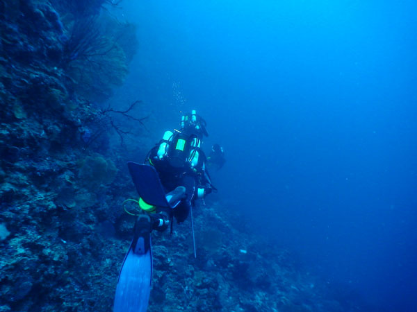 Deep dive team descends toward the next target depth to conduct biodiversity surveys, water samples and photo transects.