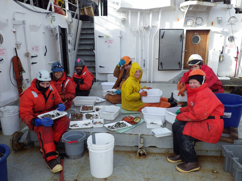 Scientists sort through samples collected using the trawl.