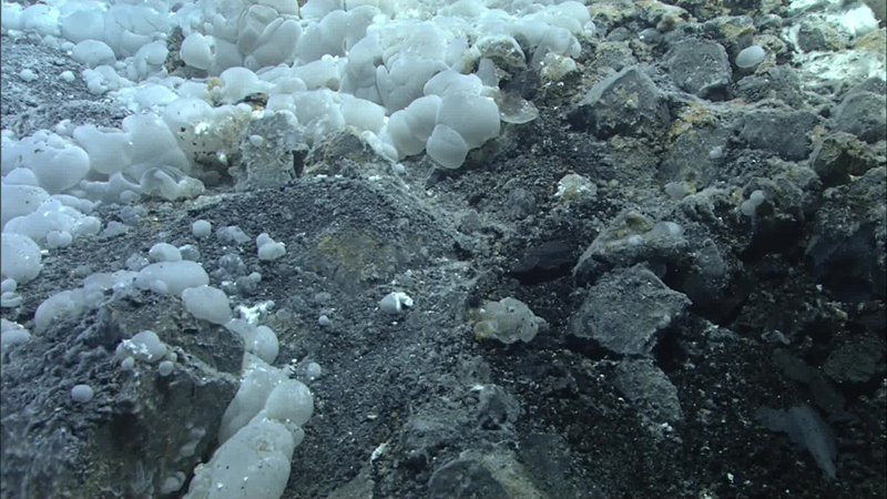 These gelatinous globules covered large areas of the seafloor seen while the ROV was ascending the western slope of the central cone within the large caldera of Volcano O during dive Q324. Very similar globules have been seen at Axial Seamount on the Juan de Fuca ridge following a volcanic eruption.