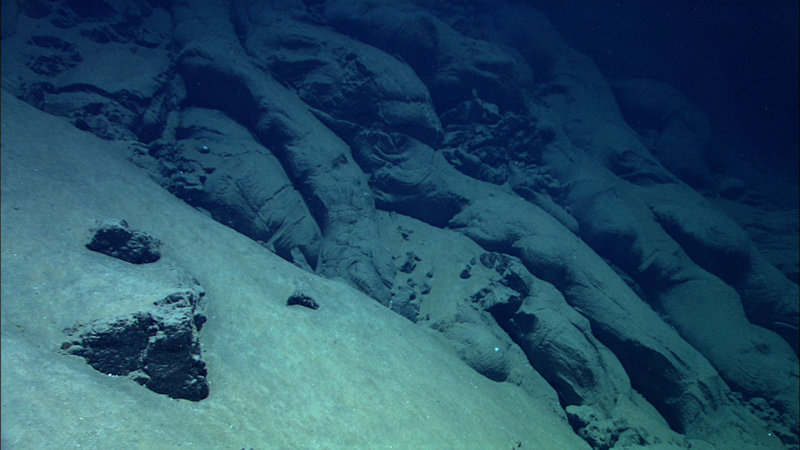 Pillow lava tubes among sediment and lava rock along summit at Mata Ua. Area in view is approximately 4m in height x 7 m in width.