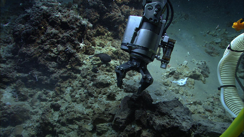 The Quest 4000 remotely operated vehicle collecting geological samples with the manipulator claw.
