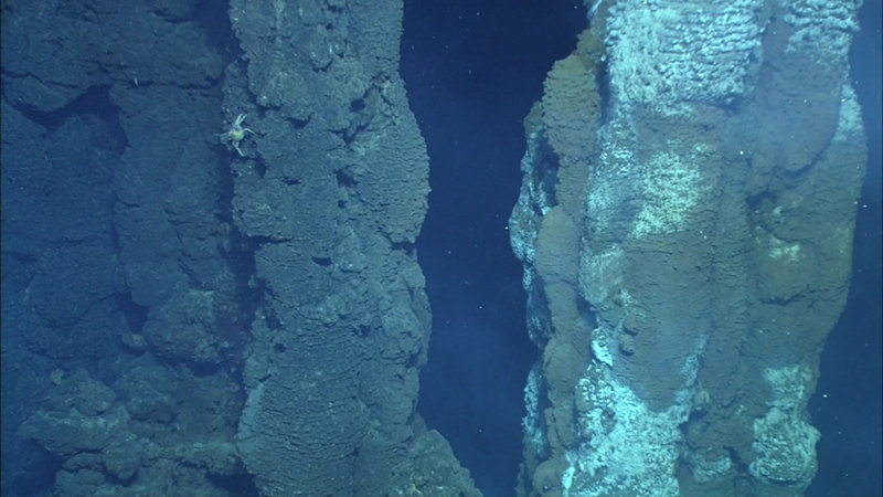 Large chimneys, reaching 35-40 m in height, in proximity of to each other at a depth of 1,555 m, discovered at Fonualei Rift. The site is called Kakai Loloa, which translates to “tall people” in Tongan.