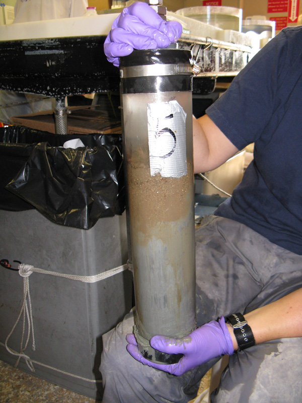 A successfully collected push core that has different sediment layers present.