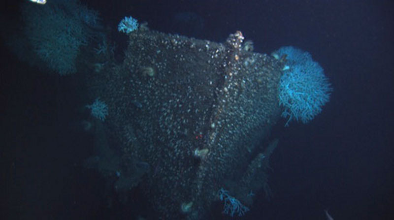 Another type of human-made structure that can be used to date and therefore provide maximum ages for corals are shipwrecks, like the Gulf Oil shipwreck pictured here, sunk by a German U-boat during World War II.
