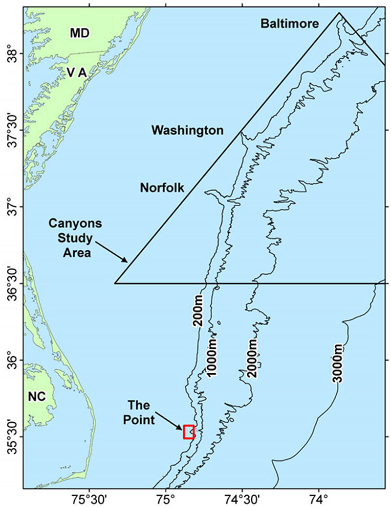 Submarine canyons are dominant features of the outer continental shelf and slope of the US East coast from Cape Hatteras to the Gulf of Maine.