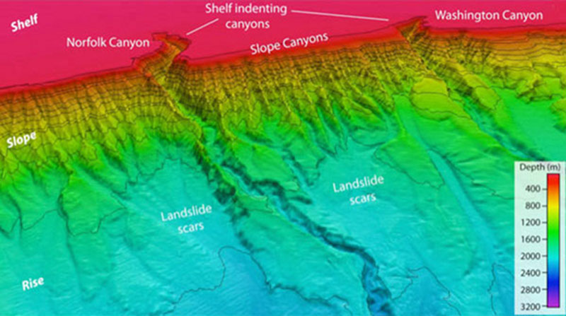 Canyons along the continental margin offshore of Virginia.