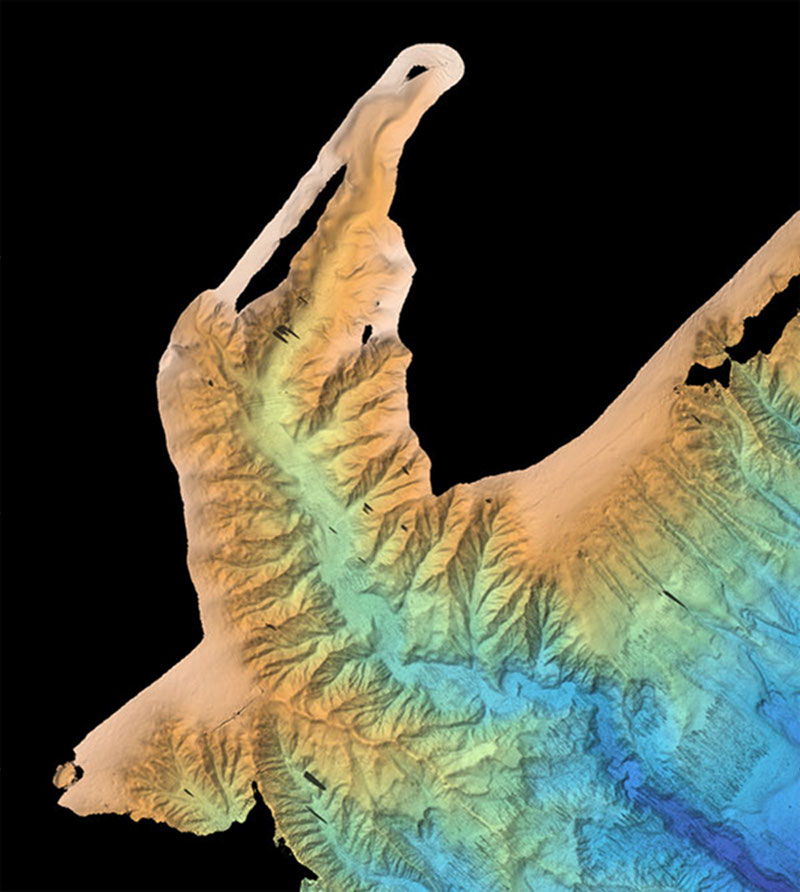 Sonar image showing the primary target areas for the Deepwater Mid-Atlantic Canyons Project in and around the Norfolk, Washington, Accomac, and Baltimore canyons.