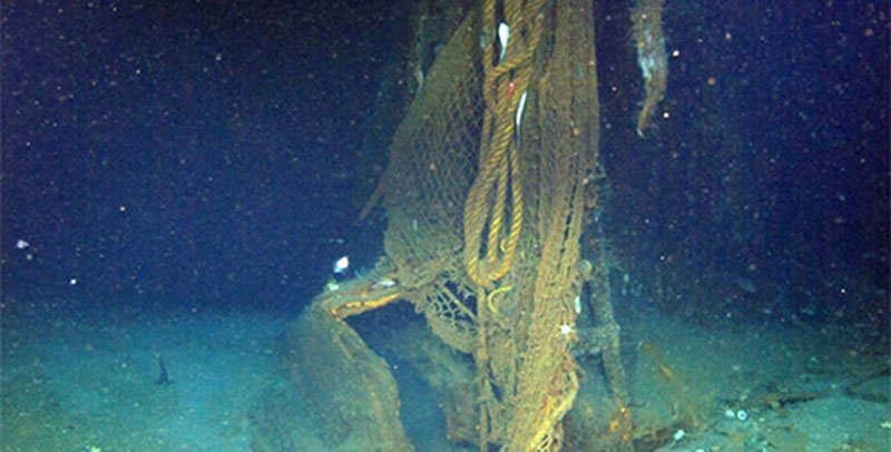 Modern fishing net caught on one of the Billy Mitchell wrecks.