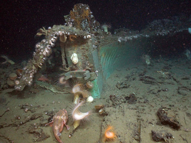 An early to mid-19th century wooden-hulled shipwreck on the deep Gulf of Mexico seafloor, seen during the Okeanos Explorer: Gulf of Mexico 2012 Expedition.