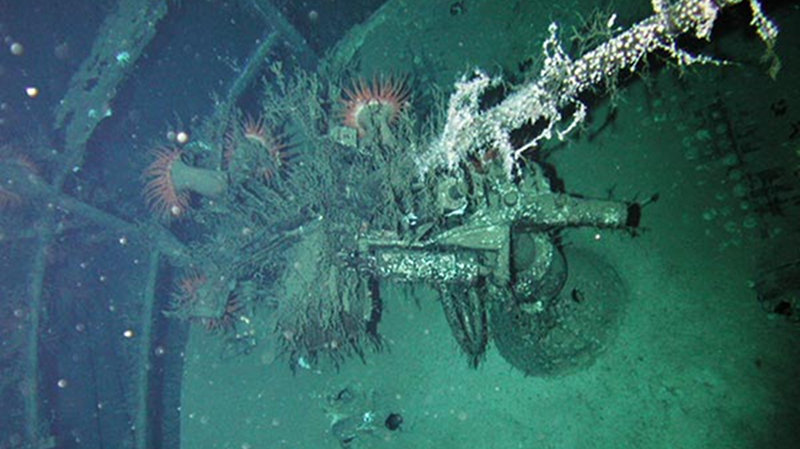 Deepwater Canyons 12 Pathways To The Abyss Mission Logs September 27 Noaa Office Of Ocean Exploration And Research