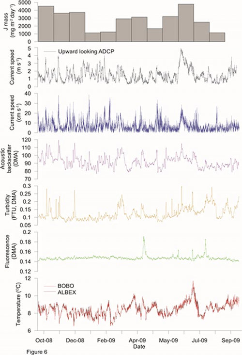 Examples of the intense and huge volume of data produced during a one year lander deployment at 480 meters in the Gulf of Mexico.