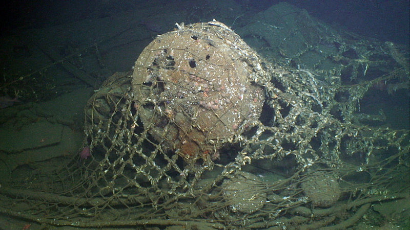 The capstan of one of the German destroyers is covered and damaged by derelict fishing gear.