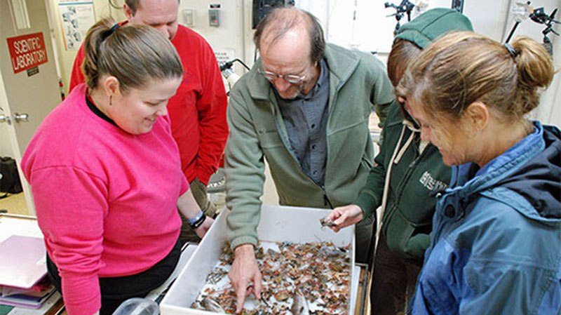 Steve Ross (center) identifies species found in a trawl, while (clockwise from left) Esprit Saucier, John Tomczuk, Katharine Coykendall, and Cheryl Morrison look on.