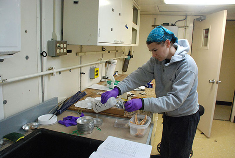 Jennifer McClain-Counts processes samples collected from shipwrecks.