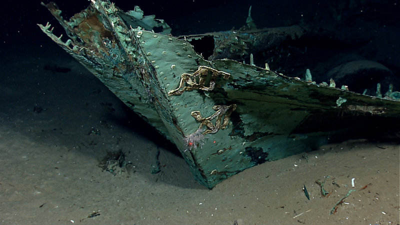 One of three shipwrecks dubbed the Monterrey Wrecks, which may be part of a fleet of 19th century fishing vessels lost during a powerful storm in the Gulf of Mexico.