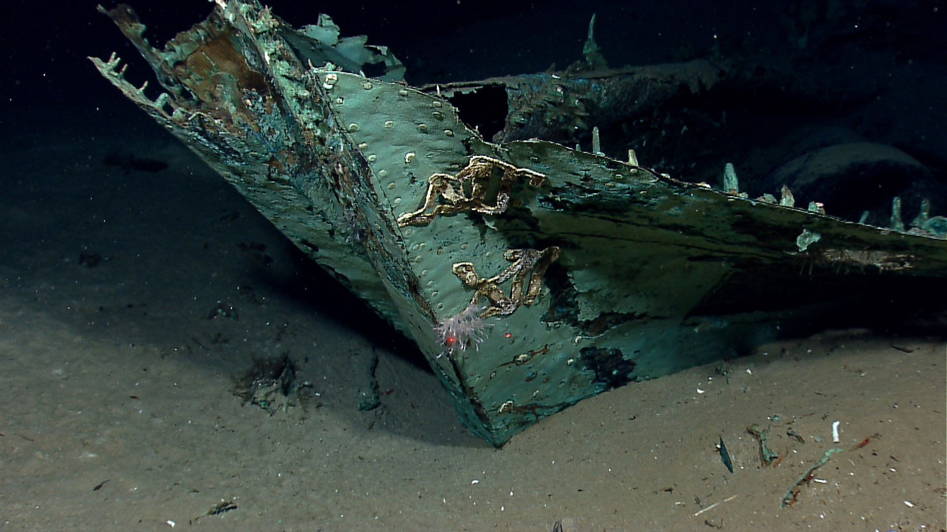 shipwrecks on ocean floor