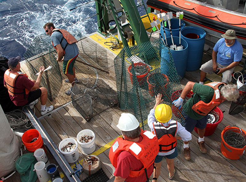 The first deployment of chevron traps upon reaching Pulley Ridge.