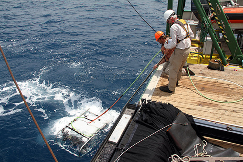 Recovering the Super Phantom ROV to the deck of the R/V Walton Smith.