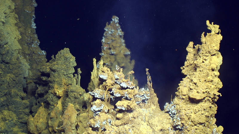 Sulfide chimneys coated with iron-based microbial mat at the Urashima vent site.