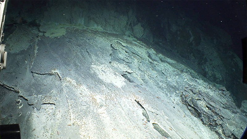 A slope covered with sulfur crusts (and tiny Opaepele shrimp) near the formerly active eruptive vents.