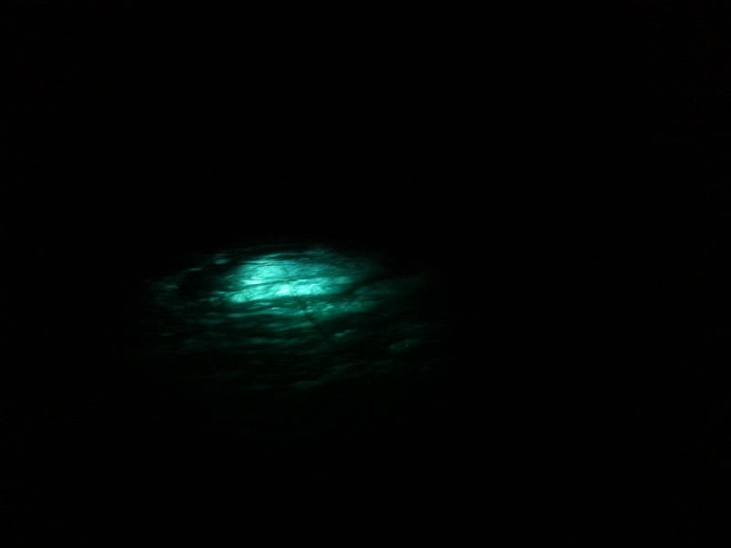 The water was clear enough that even during a night dive, the divers’ lights could be seen from the surface.