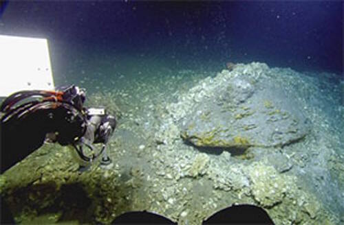 Natural petroleum seeps (bubble plumes) rise out of the seafloor and disperse in the water.