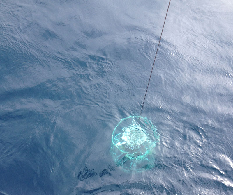 Down it goes! Casting a CTD into the deep blue. Instrument technicians trigger the closure of Niskin bottles at wanted depths for the collection of sample seawater.