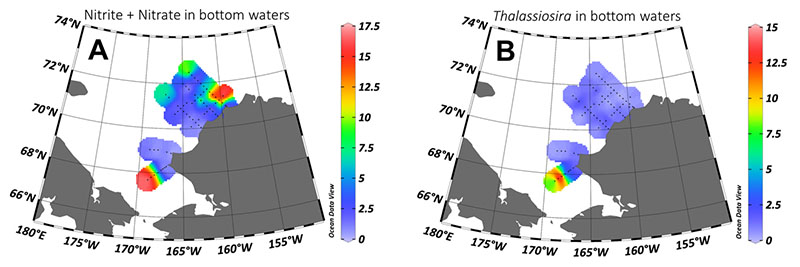 Figure 3. Distributions of nutrients (nitrate + nitrite) (A) and relative abundance of Thalassiosira (B) in near-bottom waters. The southernmost samples display high nutrient concentrations, similar to the concentrations found in the northern Bering-Chukchi Winter Water. Though these samples share similar nutrient concentrations, Thalassiosira appears to favor the Bering-Chukchi shelf waters seaward of the Alaska Coastal Current, while remaining rare in the older, colder Bering-Chukchi Winter Water.