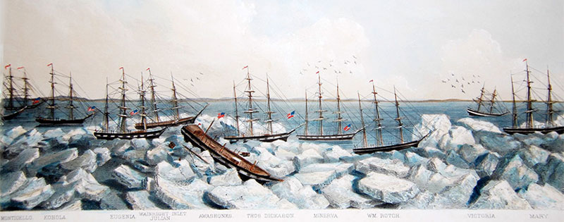 Abandonment of the whalers in the Arctic Ocean, September 1871, including the Monticello, Kohoa, Eugenia, Julian, Awashonks Thom Dickason, Minerva, Wm. Rotch, Victoria, and Mary. Wainwright Inlet is in the background.