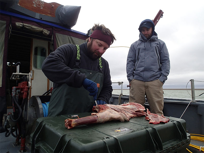 Captain Arthur butchering caribou acquired from local subsistence hunter.