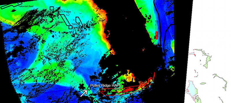 Satellite imagery from NOAA shows the swath of chlorophyll in the Gulf of Mexico in green.