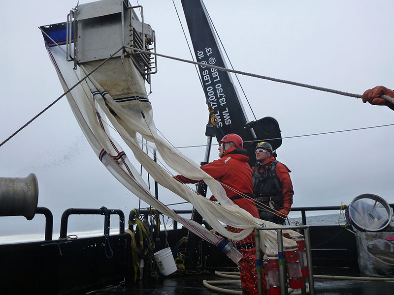 The multinet is used to collection zooplankton from the water column.