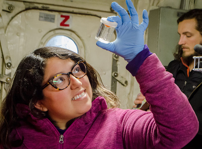 Heidi Mendoza-Islas checks out a jellyfish that was collected by the ROV.